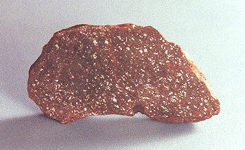 standby for abbott photo