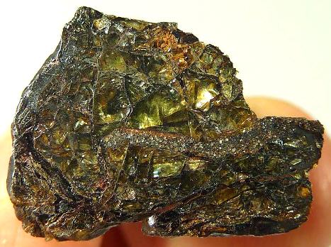 standby for al mahbas photo