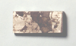 standby for bencubbin photo