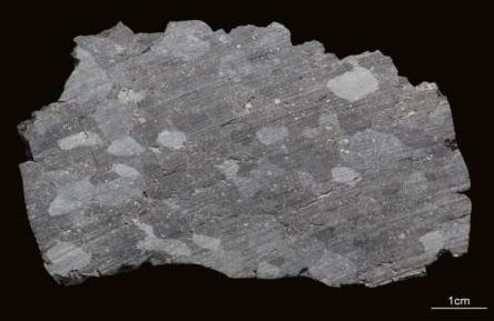 standby for boriskino interior texture image