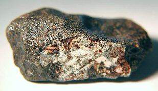 standby for camel donga photo