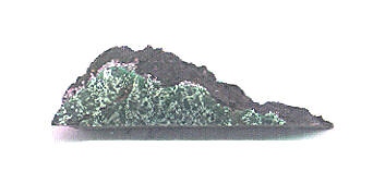 standby for clover springs photo