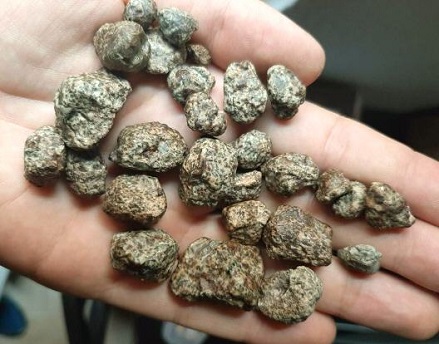 standby for erg chech 002 photo