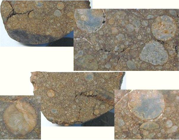 standby for northwest africa 305 photo