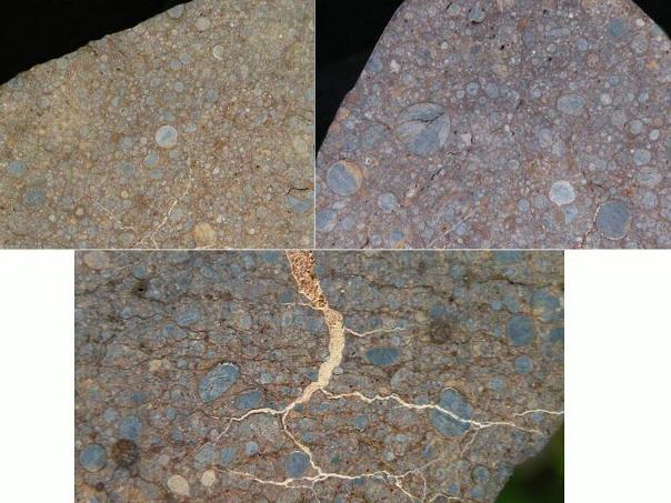 standby for northwest africa 305 photo