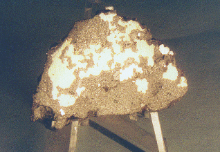 standby for estherville photo