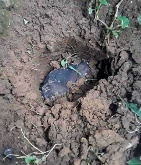 standby for kolang in situ photo