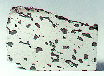 standby for miles photo