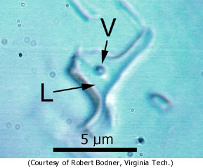 standby for monahans halite photo