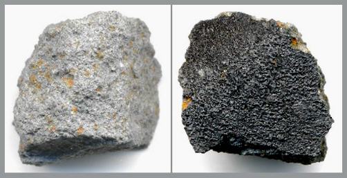 standby for moss photo