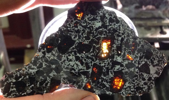 standby for nwa 10019 slice photo