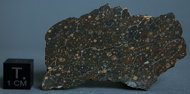 standby for s. kamback photo