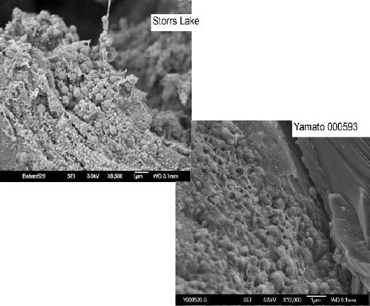 standby for nakhla biomorph photo