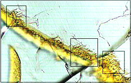 standby for nakhla tunnel photo
