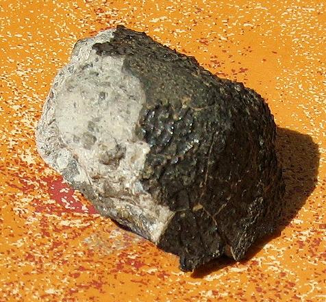 standby for pasamonte photo