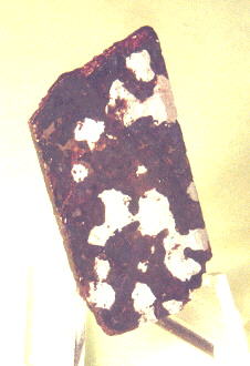 standby for steinbach photo