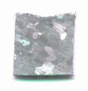 standby for willamette photo