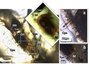 standby for biomorph photo