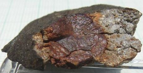 standby for camel donga nodule photo