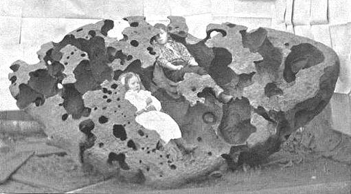 standby for willamette photo